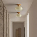 Modern matte dome ceiling lamp with led wood canopy living room