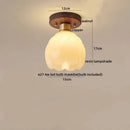 Modern matte dome ceiling lamp with led wood canopy living room