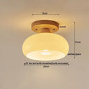 Modern matte dome ceiling lamp with led wood canopy living room