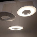 Modern minimalist iris pendant light dining room ring decor