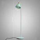 Modern pastel iron macaron floor lamp for living room wood accents