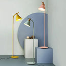 Modern pastel iron macaron floor lamp for living room wood accents