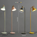 Modern pastel iron macaron floor lamp for living room wood accents