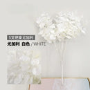 Modern pink eucalyptus flower arrangement living room glass vase