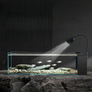 Modern rectangular glass betta fish tank with lamp for living room