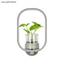 DecorBites™ Macaron Metal LED Wall Sconce with Plant Pot for Bedroom - Grey/Yellow/Blue