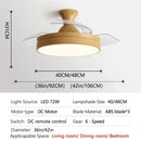 Modern wood and acrylic ceiling fan light bedroom fixture