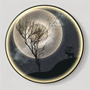 Moonshine Illuminated Art