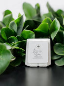 Morning Skies Coconut & Citrus Scented Wax Melt | 2.5 oz | Eternal Promises