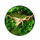 Moss Wall Art