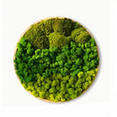 Moss Wall Art