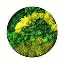 Moss Wall Art