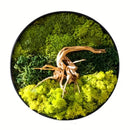 Moss Wall Art