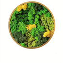 Moss Wall Art