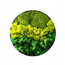 Moss Wall Art
