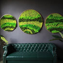 Moss Wall Art