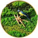 Moss Wall Art