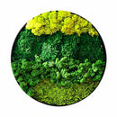 Moss Wall Art