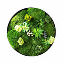 Moss Wall Art