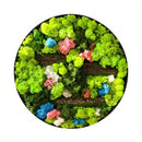 Moss Wall Art