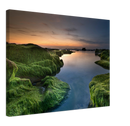 Mossy Beach - Print