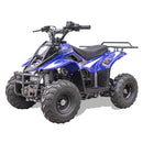 MotoTec Rex 110CC 4-Stroke Mini Kids 4 Wheeler Gas ATV Quad, Blue (SAK78052)