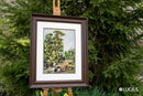 Mountain River B522L Counted Cross-Stitch Kit