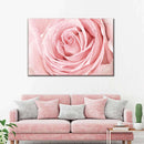 Fresh Pink Rose Wall Art