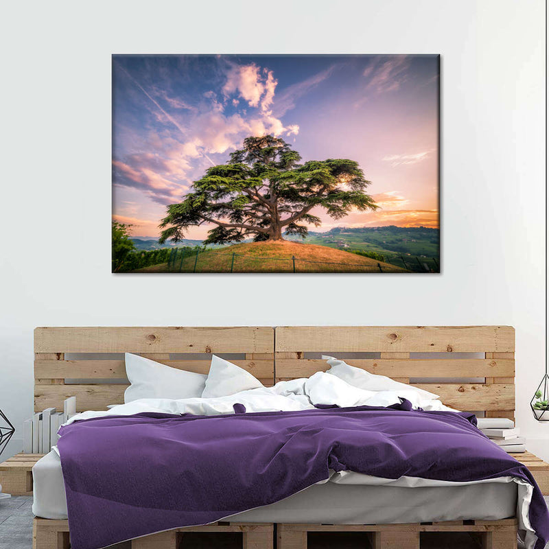 Majestic Cedar Of Lebanon Wall Art