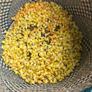 Garlic and Mullein Ear Oil