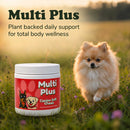 Multivitamin Support Soft Chews for Dogs | Pack of 3 | 60 Chews - 6.35 oz | LivHerbals, Inc.
