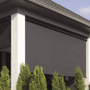Black outdoor roller shade on a building with trees in the foreground