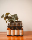 #Bookworm 3 in 1 Luxury Spray