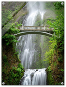 Multnomah Falls - Print
