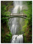 Multnomah Falls - Print