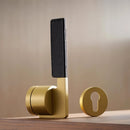 Musra Handle and Lock