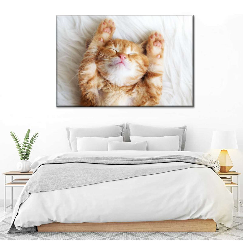 Sleepy Kitty Wall Art