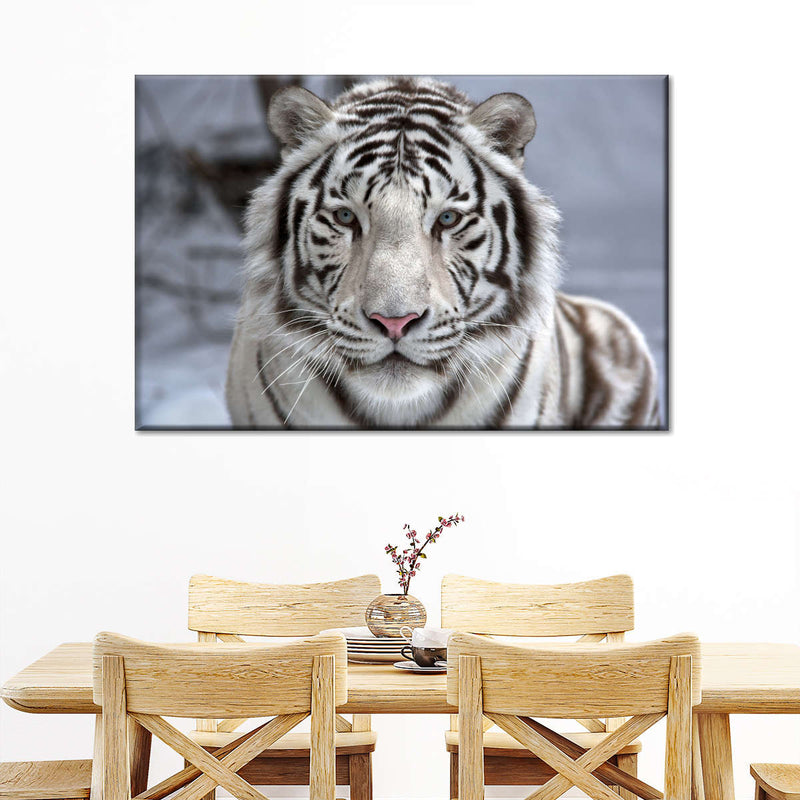 Endangered White Tiger Wall Art