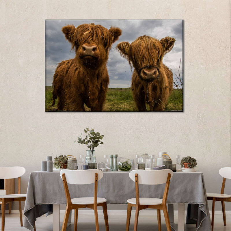 Baby Highland Cows Wall Art