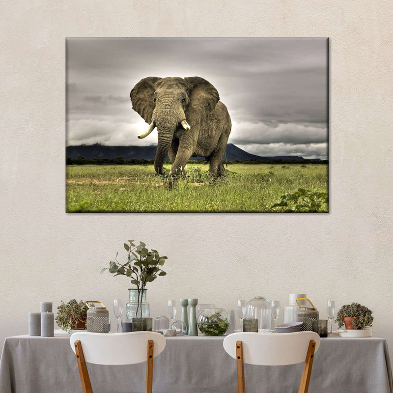 Elephant Landscape Wall Art