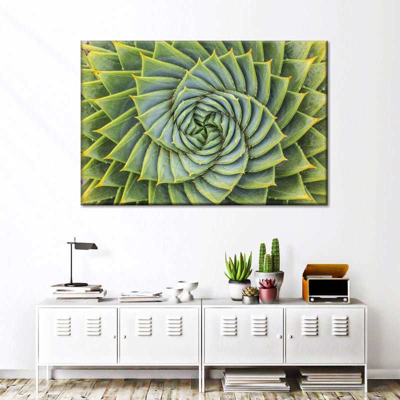 Spiral Succulent Wall Art