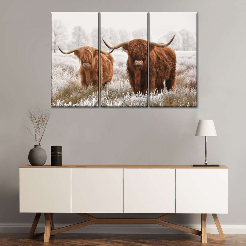 Hairy Scottish Highland Cows Wall Art