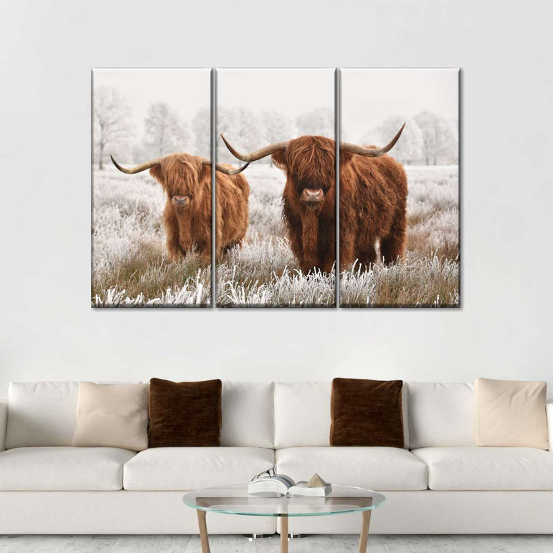 Hairy Scottish Highland Cows Wall Art