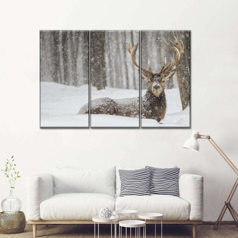 Snow Covered Elk Wall Art