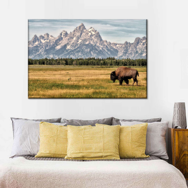 Bull Bison In Grand Teton Wall Art