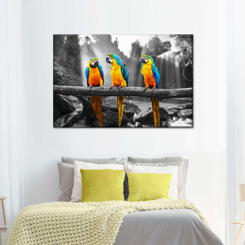 Macaw Friends Pop Wall Art