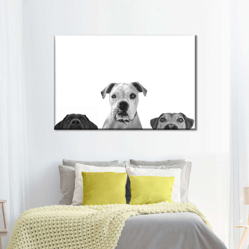 Curious Dogs Wall Art