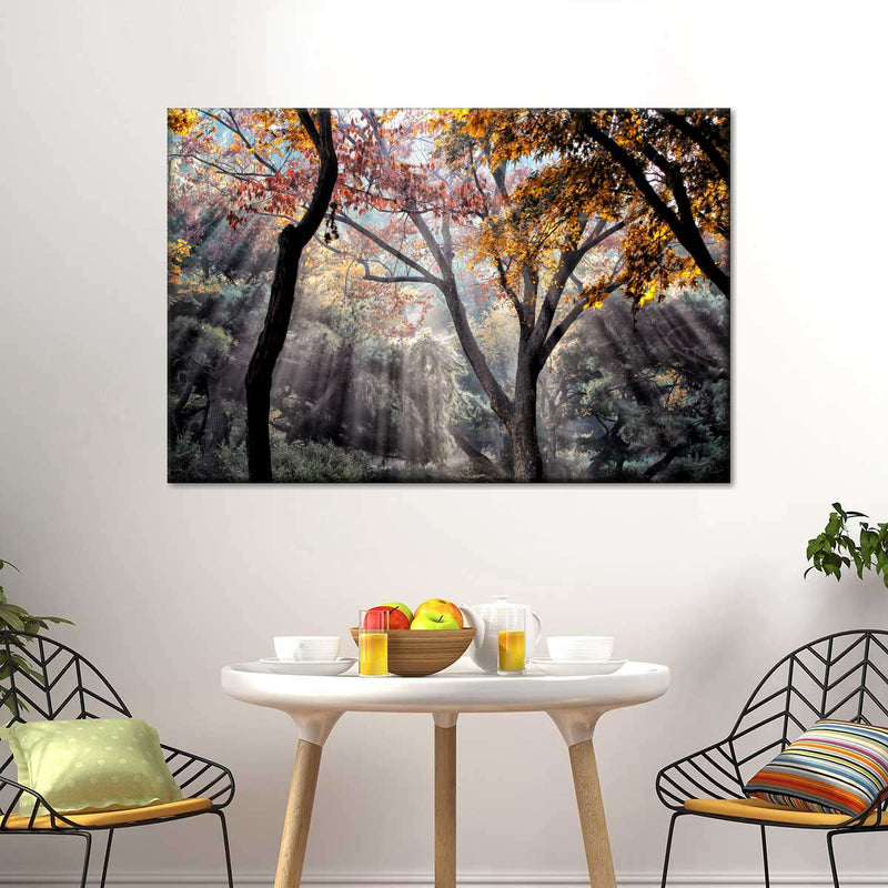 Forest Sun Rays Wall Art