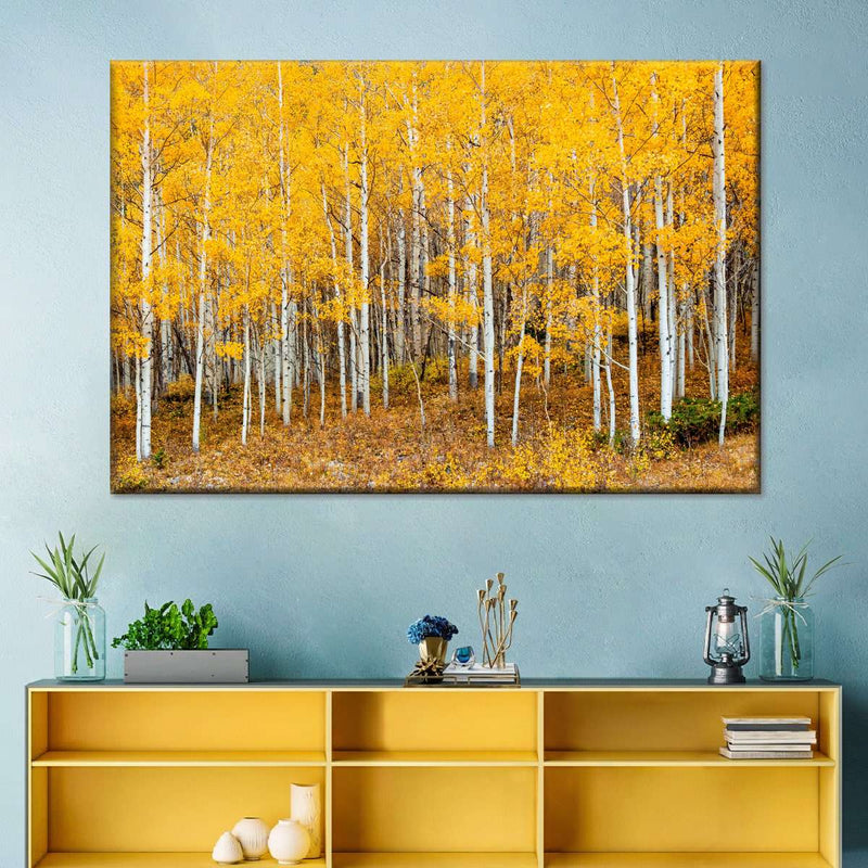 Colorado Aspen Forest Wall Art