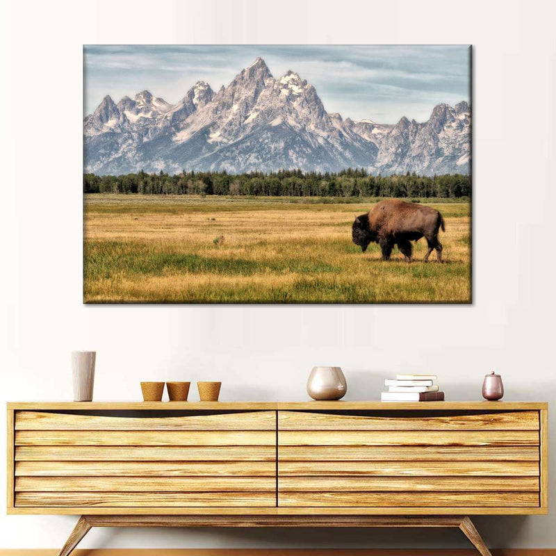 Bull Bison In Grand Teton Wall Art